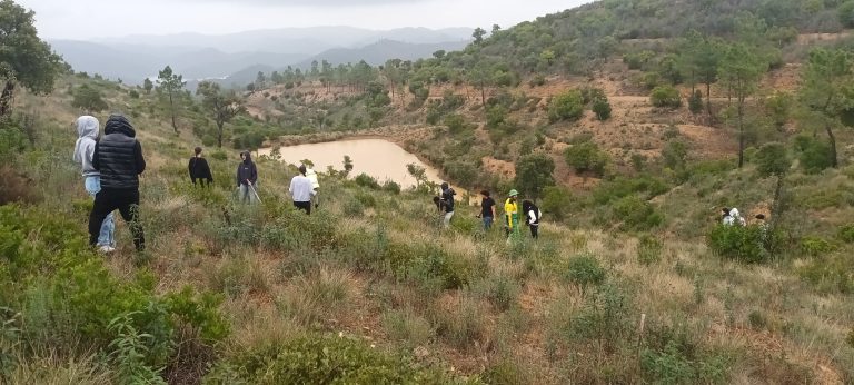 PLANTAÇÃO DE ÁRVORES AUTÓCTONES